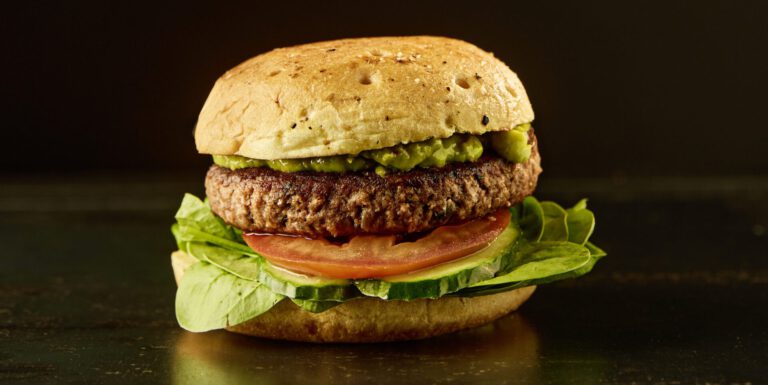 Read more about the article Vegetarian burger